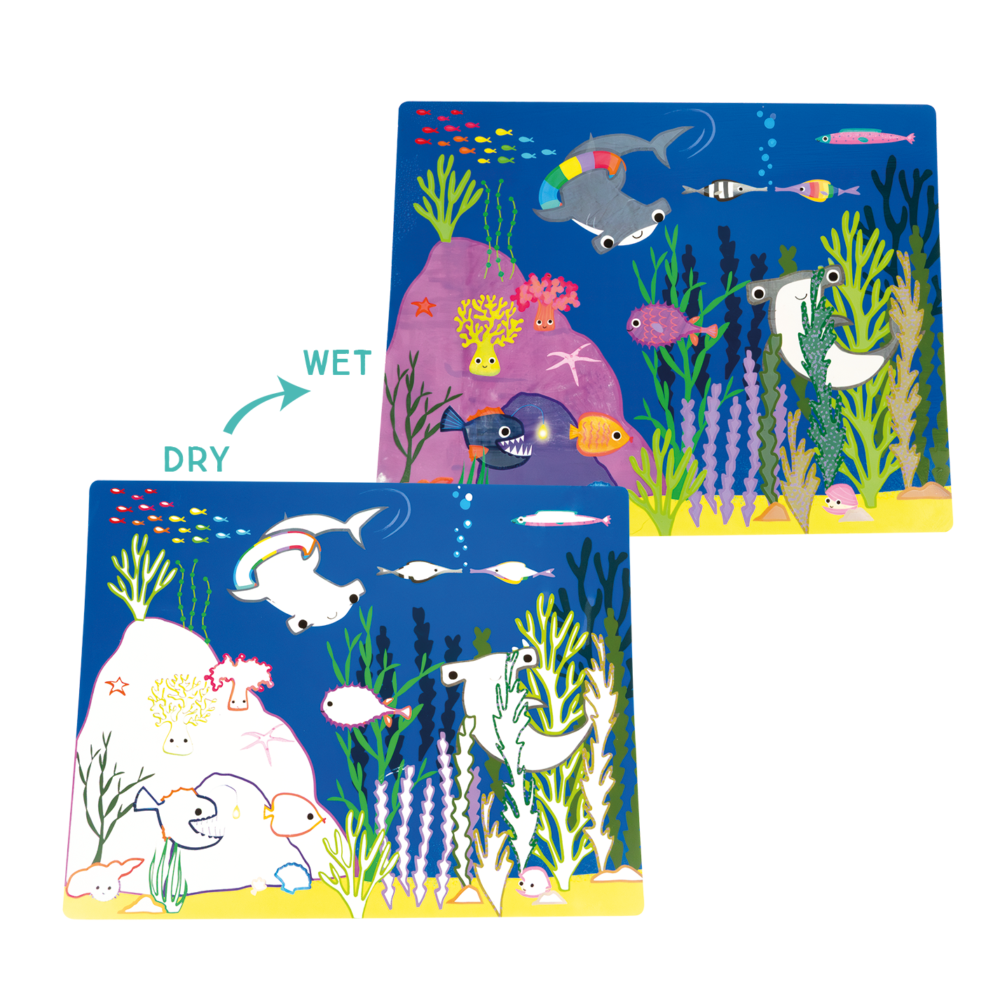 Magic Water Placemats - Ocean