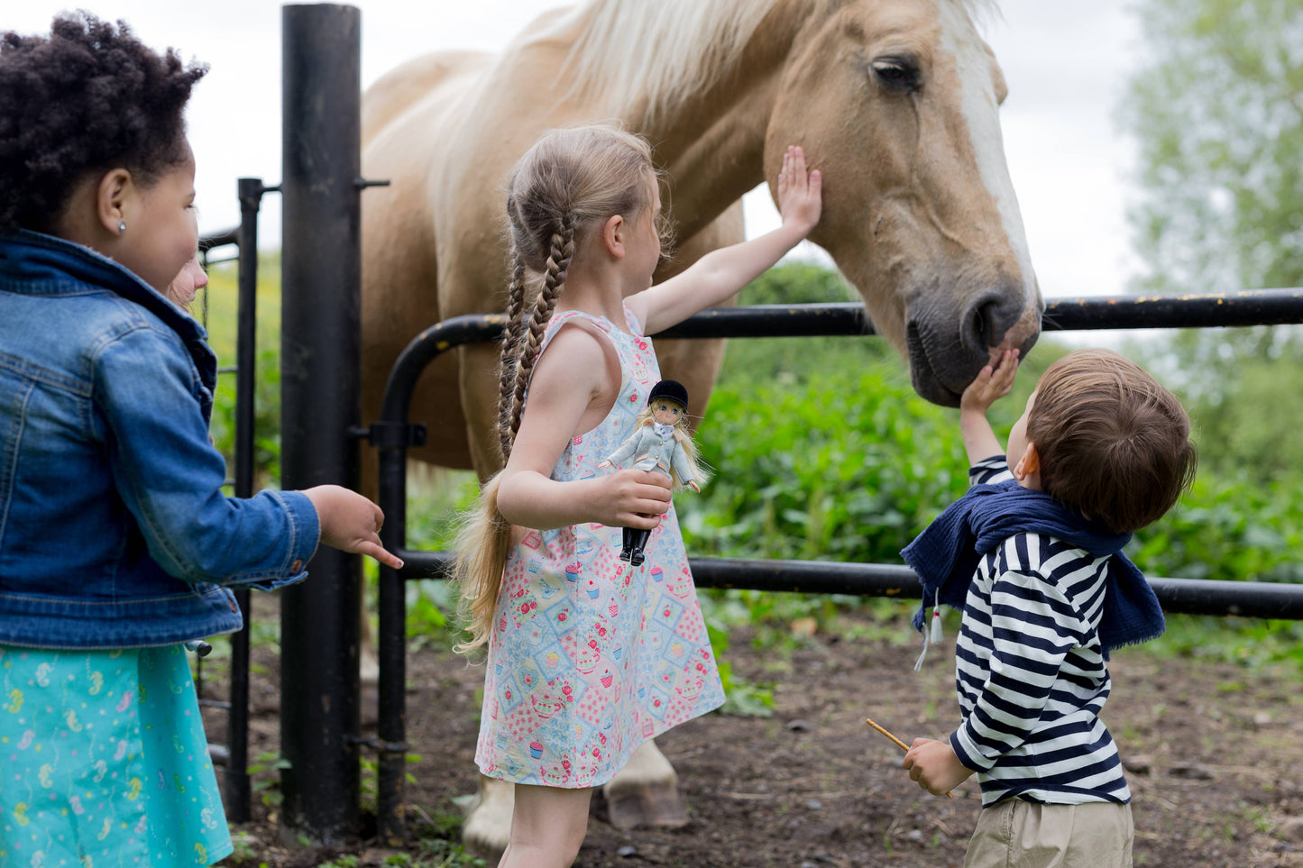 Sirius the Welsh Mountain Pony
